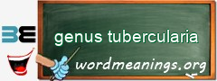 WordMeaning blackboard for genus tubercularia